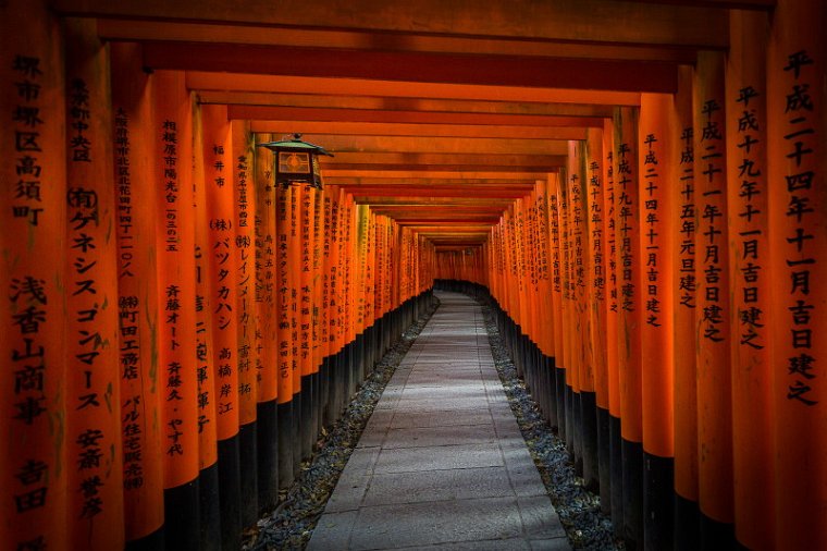 38 Kyoto, fushima inari shrine.jpg